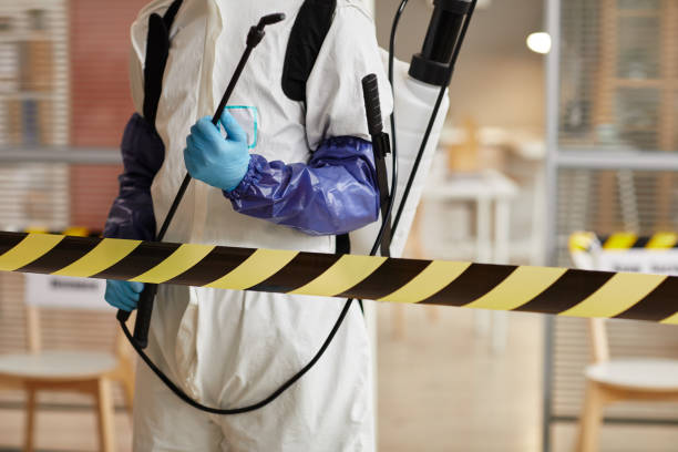 Professional Sewage Cleanup technician working in Denton, TX